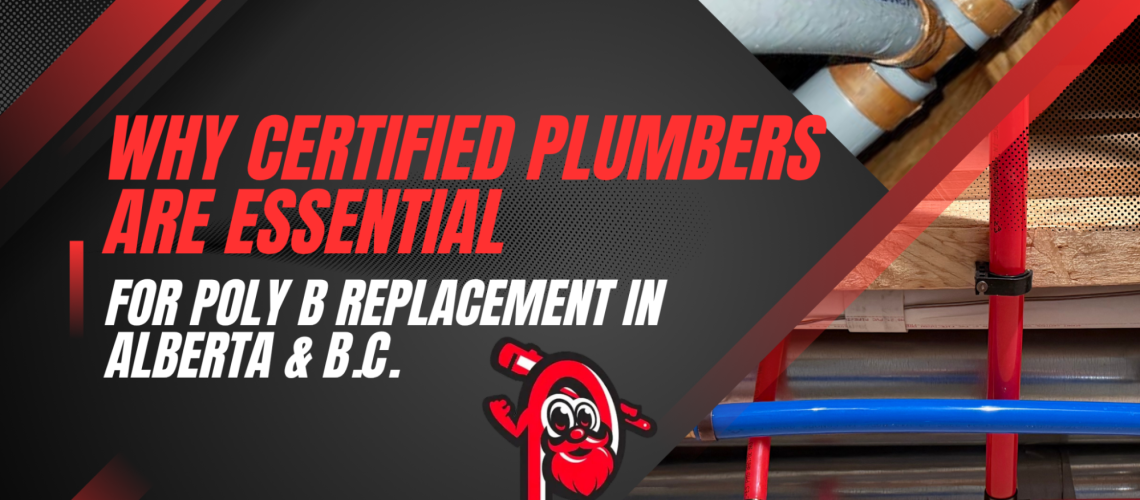 poly-b-replacement-in-vancouver-1